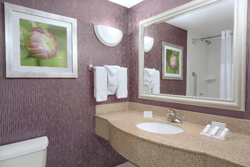 اتاق استاندارد با تخت بزرگ, Hilton Garden Inn Springfield, Ma