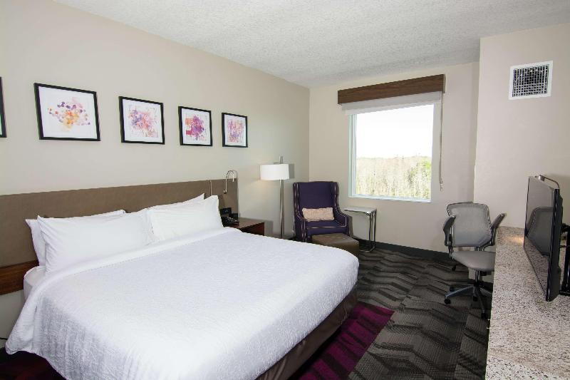 اتاق استاندارد با تخت بزرگ, Hilton Garden Inn Springfield, Ma