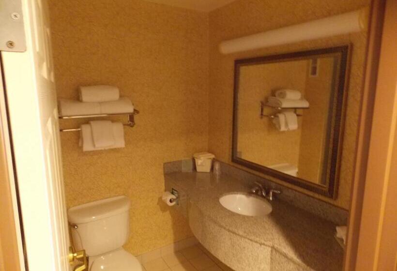 اتاق استاندارد با تخت بزرگ, Holiday Inn Express Syracusefairgrounds