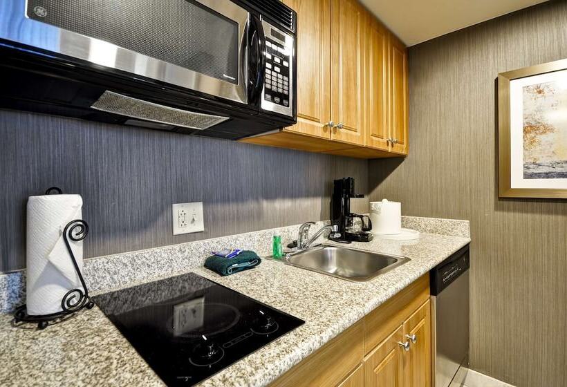 Suite, Homewood Suites By Hilton Hartford Southglastonbury