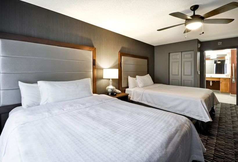 Suite, Homewood Suites By Hilton Hartford Southglastonbury