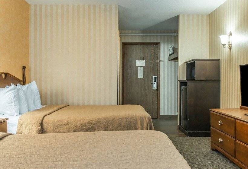 اتاق استاندارد با 2 تخت دوبل, Quality Inn Gaylord