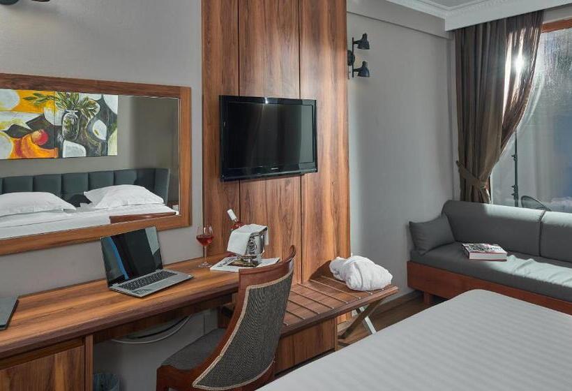 اتاق استاندارد با چشم‌انداز کوهستان, Royal Hotel Thessaloniki