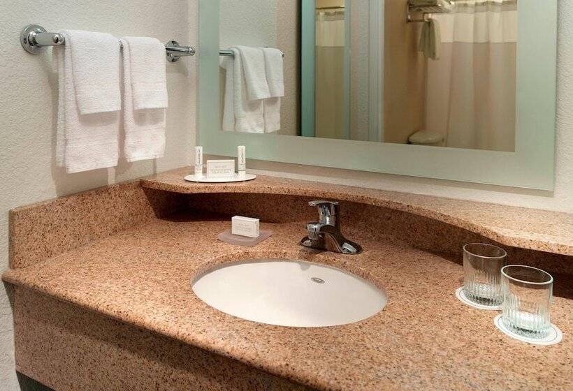 سوییت, Springhill Suites By Marriott Atlanta Buckhead