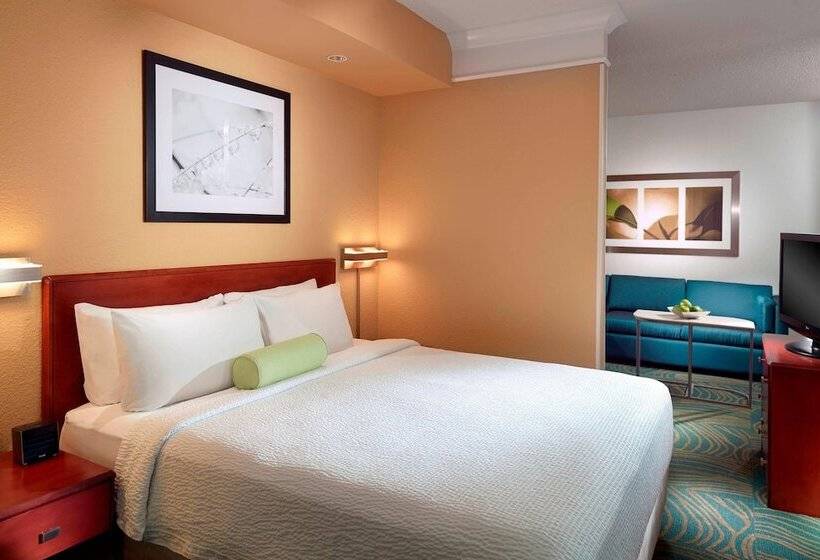 سوییت, Springhill Suites By Marriott Atlanta Buckhead
