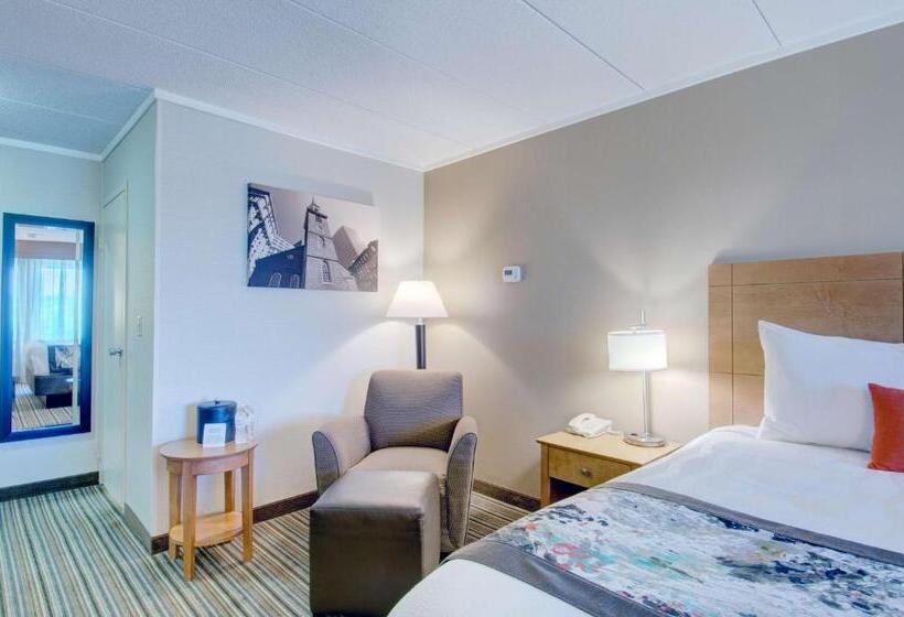 带大床的标准间, Best Western  Plus Waltham Boston