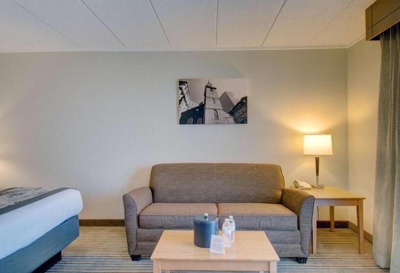带大床的标准间, Best Western  Plus Waltham Boston