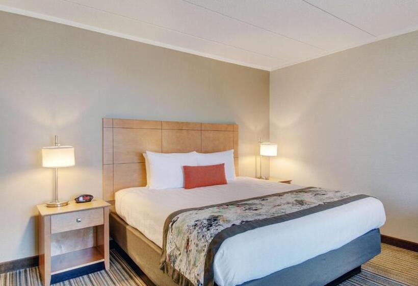 带大床的标准间, Best Western  Plus Waltham Boston