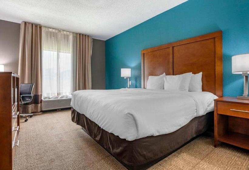 Quarto Estandar Cama King, Comfort Inn Airport