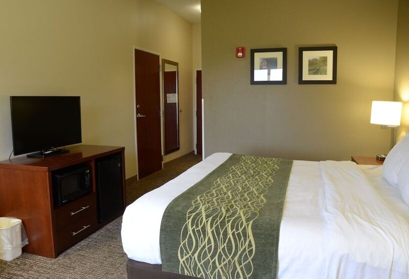 Standaardkamer met Tweepersoonsbed Aangepast voor Gehandicapten, Comfort Inn & Suites