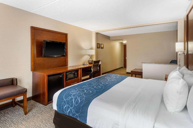 سوئیت با تخت بزرگ, Comfort Suites Manassas Battlefield Park Manassas