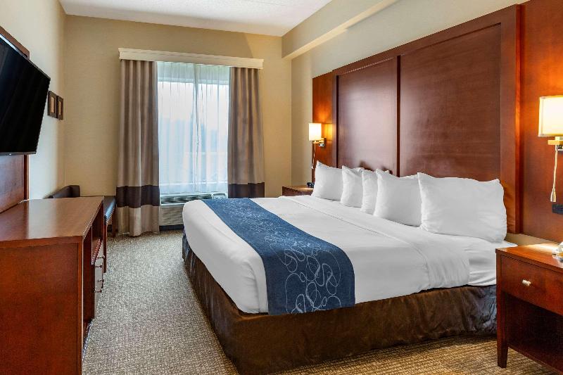 سوئیت با تخت بزرگ, Comfort Suites Manassas Battlefield Park Manassas