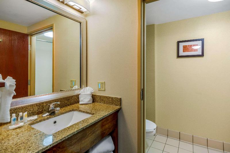 سوئیت با تخت بزرگ, Comfort Suites Manassas Battlefield Park