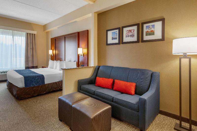 سوئیت با تخت بزرگ, Comfort Suites Manassas Battlefield Park Manassas