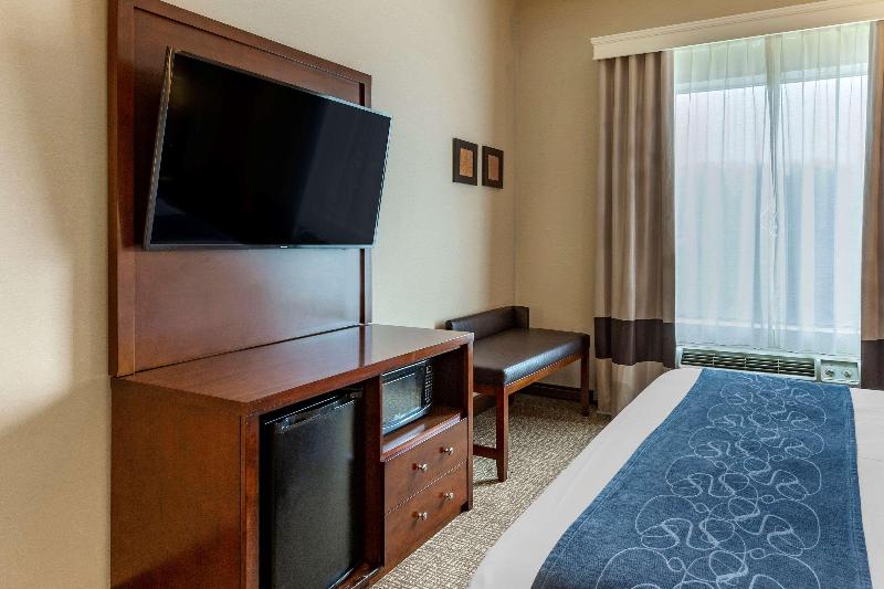 سوئیت با تخت بزرگ, Comfort Suites Manassas Battlefield Park Manassas