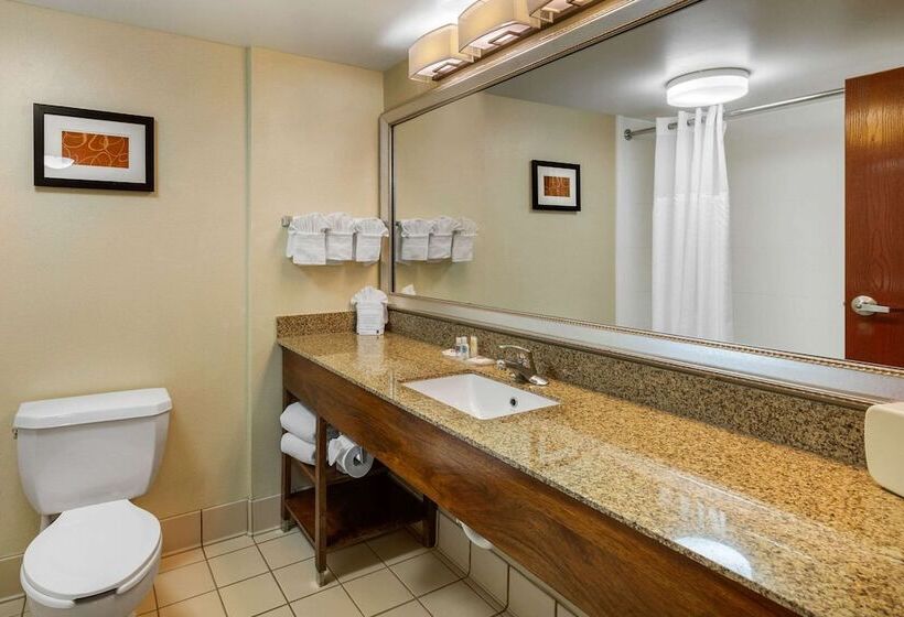 سوییت, Comfort Suites Manassas Battlefield Park