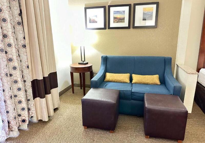 سوئیت برای معلولان, Comfort Suites Mountain Mile Area