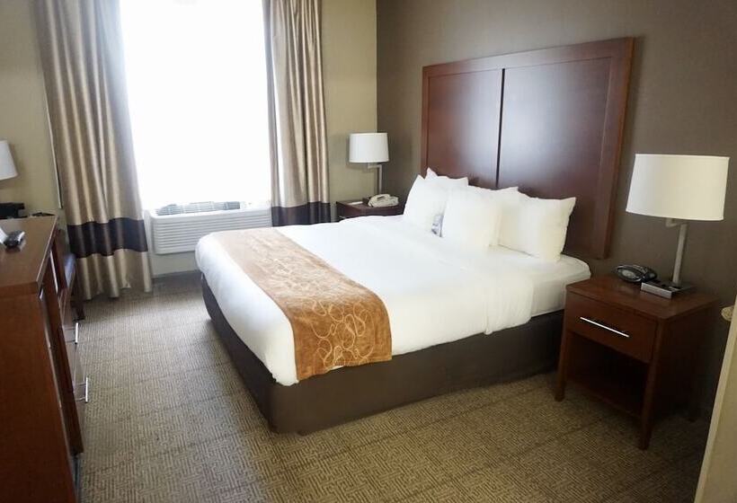 اتاق استاندارد با تخت دوبل, Comfort Suites