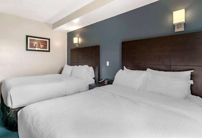 اتاق استاندارد با 2 تخت دوبل, Econo Lodge