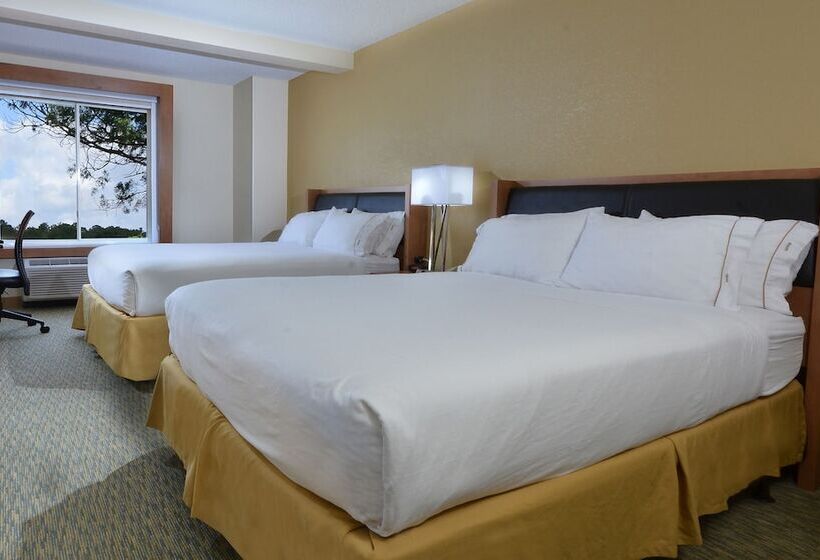 Suite, Holiday Inn Express  & Suites High Point South