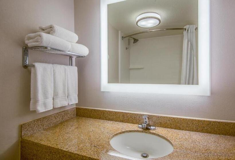 اتاق استاندارد با تخت بزرگ, Holiday Inn Express El Paso Central, An Ihg