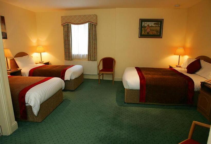 Standard Single Room, Murphys Of Killarney