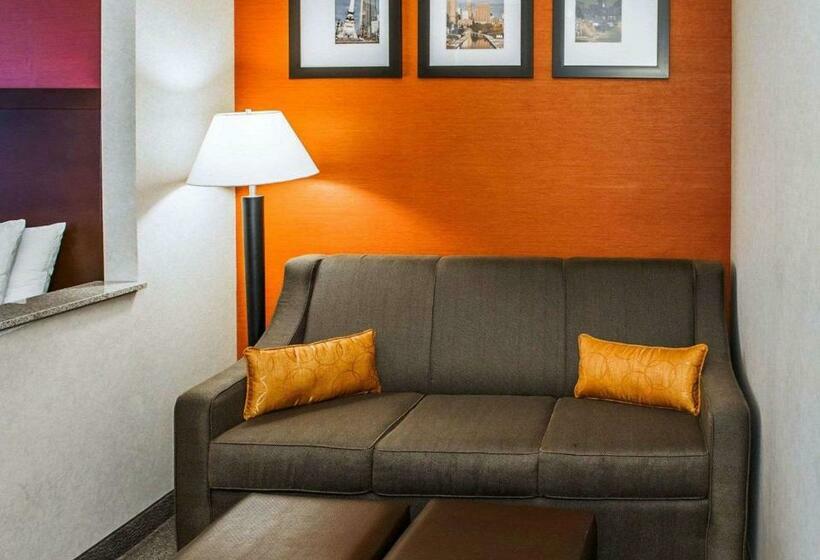 سوئیت با تخت بزرگ, Quality Suites Ne Indianapolis Fishers
