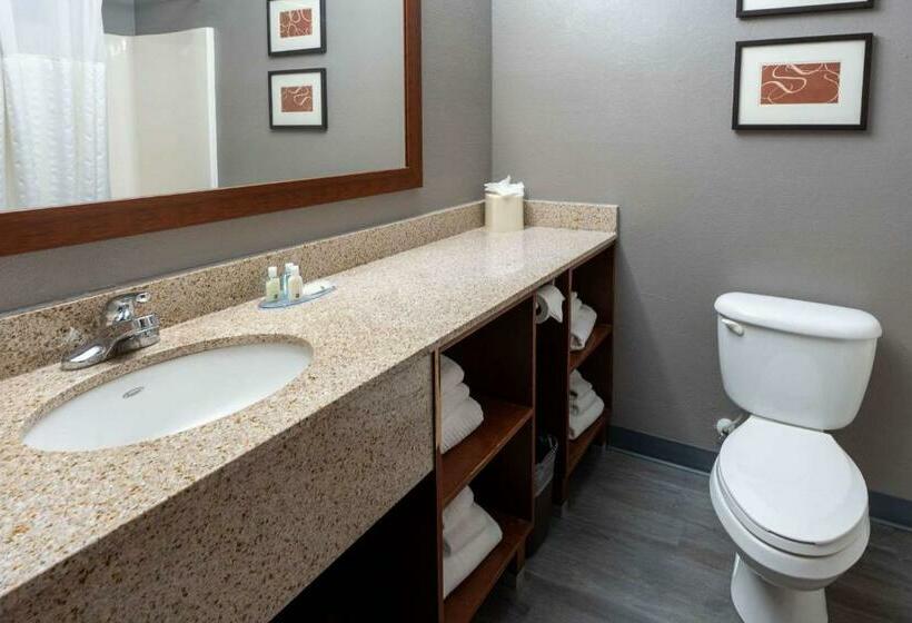 سوئیت با تخت بزرگ, Quality Suites Ne Indianapolis Fishers