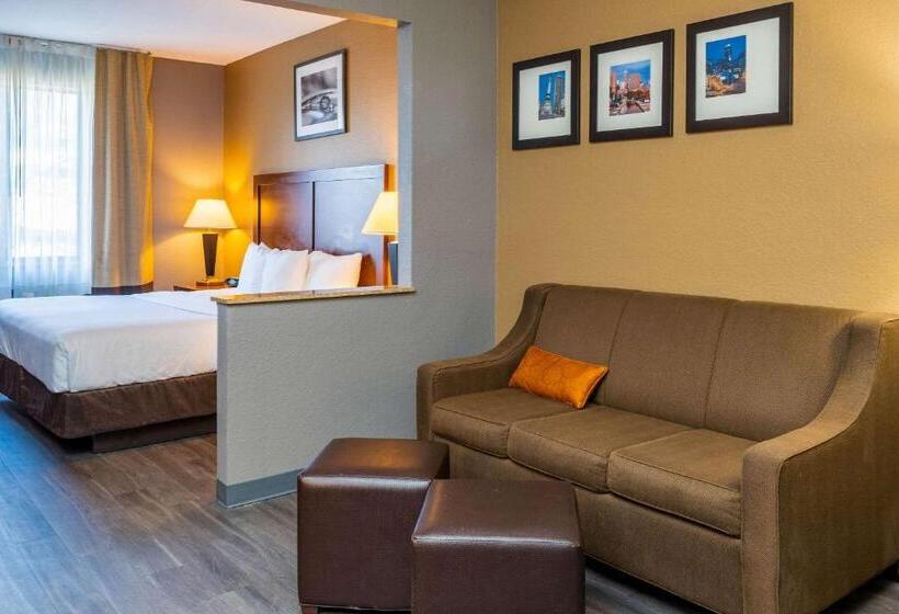 Suite Aangepast voor Gehandicapten, Quality Suites Ne Indianapolis Fishers