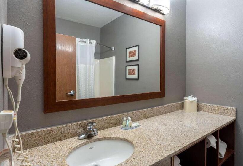 سوئیت برای معلولان, Quality Suites Ne Indianapolis Fishers