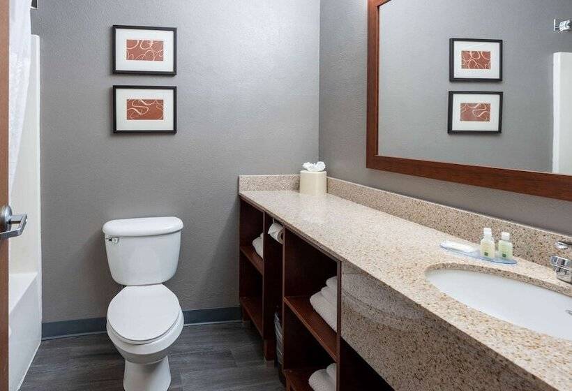 سوئیت برای معلولان, Quality Suites Ne Indianapolis Fishers