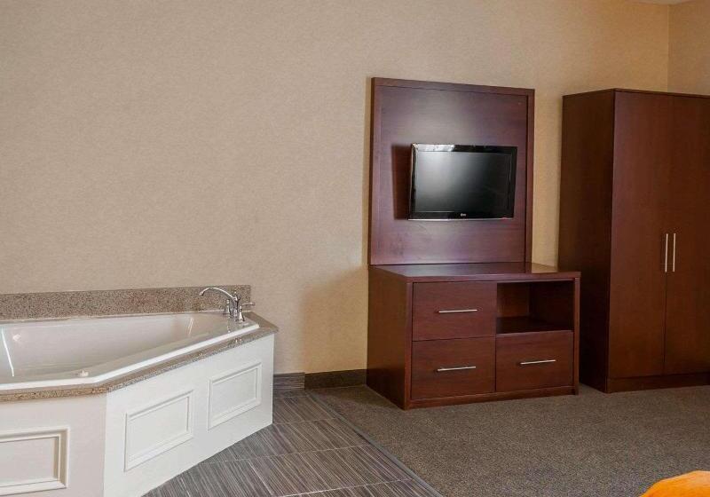 سوئیت با تخت بزرگ, Quality Suites Ne Indianapolis Fishers
