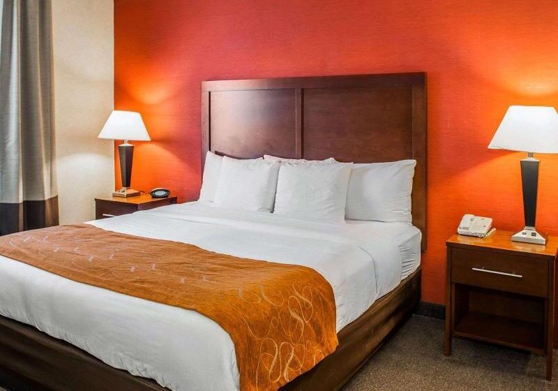 سوئیت با تخت بزرگ, Quality Suites Ne Indianapolis Fishers