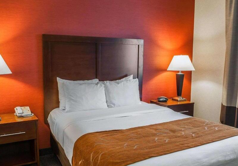سوئیت با تخت بزرگ, Quality Suites Ne Indianapolis Fishers