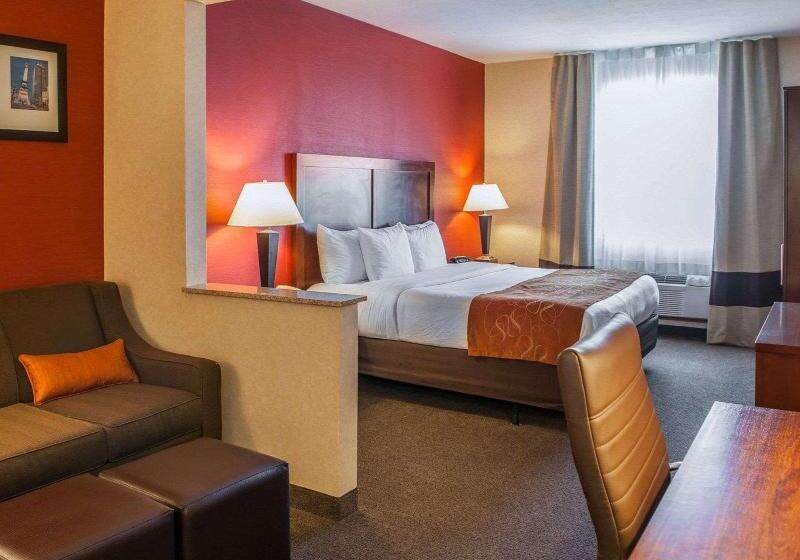 سوئیت با تخت بزرگ, Quality Suites Ne Indianapolis Fishers