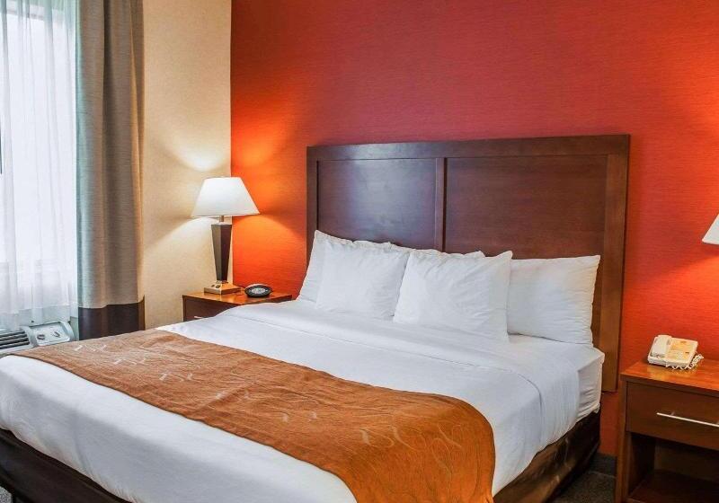اتاق استاندارد, Quality Suites Ne Indianapolis Fishers