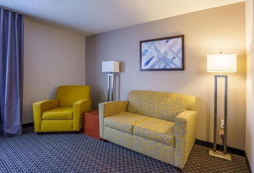 اتاق لوکس با تخت بزرگ, Wingate By Wyndham Brunswick Ga I 95