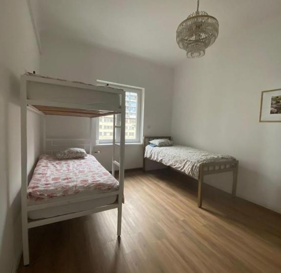 اتاق کلاسیک چهارنفره, Rooms Miklošičeva