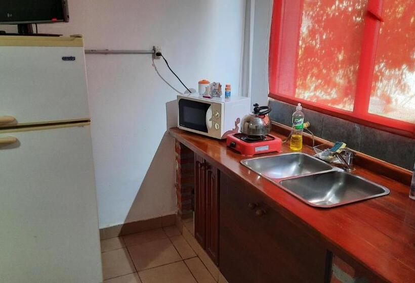 اتاق استاندارد چهار تخته, Rada Tilly Apart
