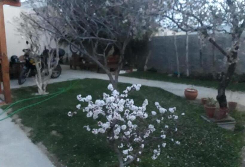 اتاق استاندارد چهار تخته, Rada Tilly Apart