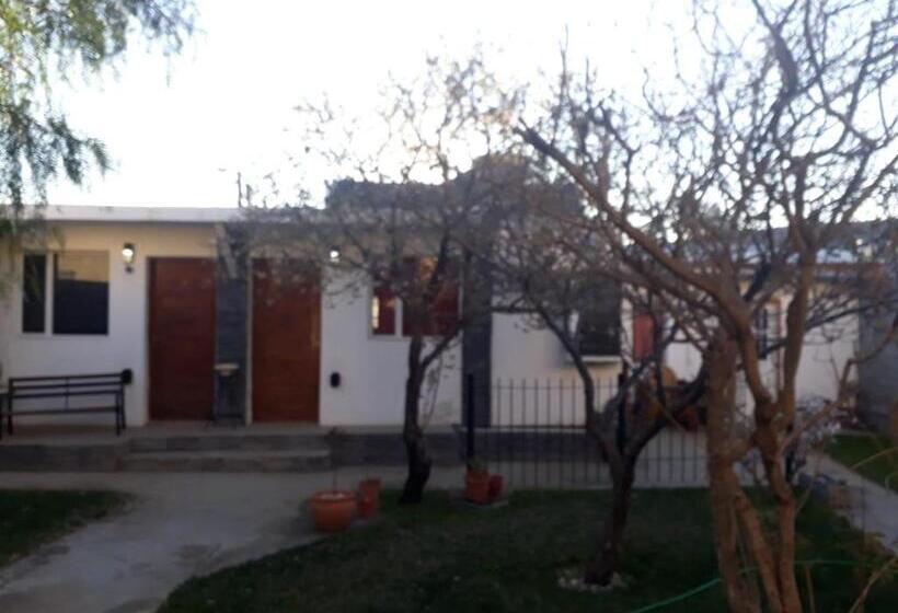 اتاق استاندارد چهار تخته, Rada Tilly Apart