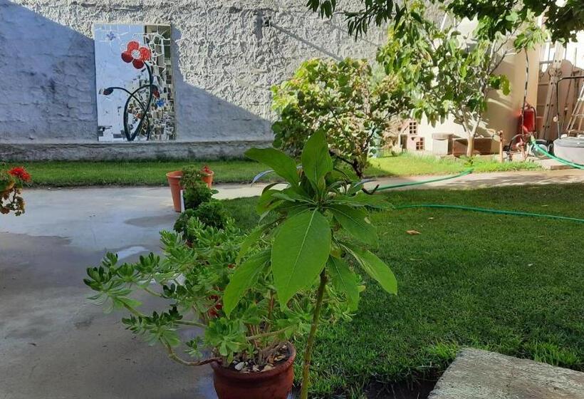 اتاق استاندارد چهار تخته, Rada Tilly Apart
