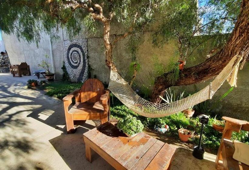 اتاق استاندارد چهار تخته, Rada Tilly Apart