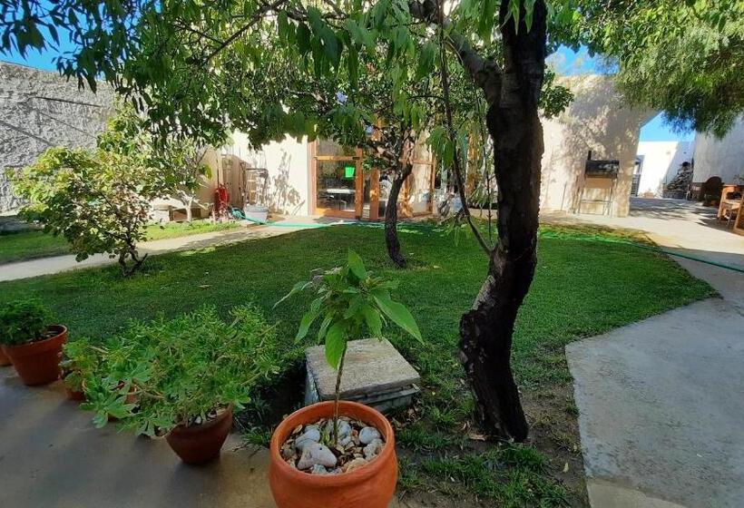 اتاق استاندارد چهار تخته, Rada Tilly Apart