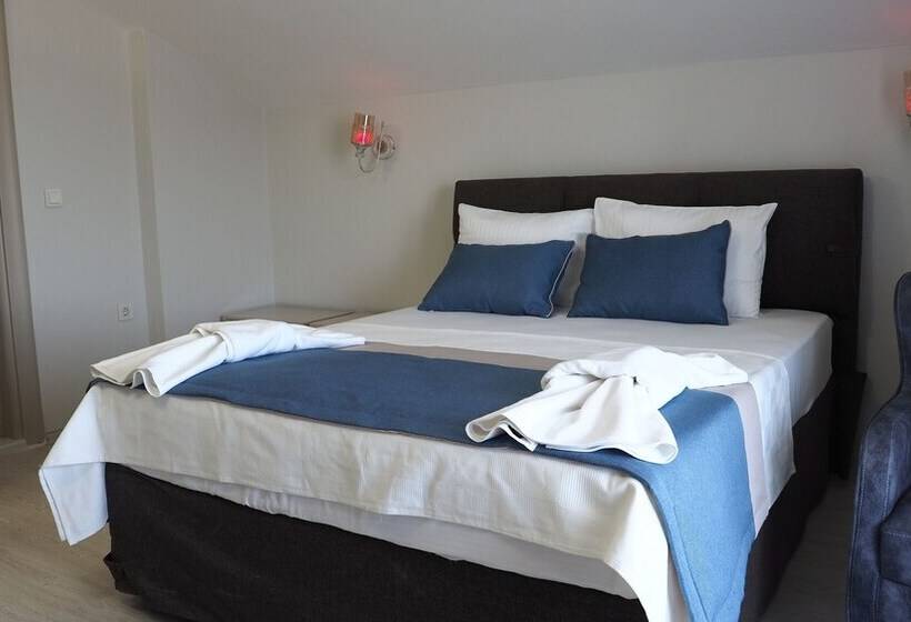 آپارتمان کلاسیک 1 خوابه, Myosotis Boutique Otel
