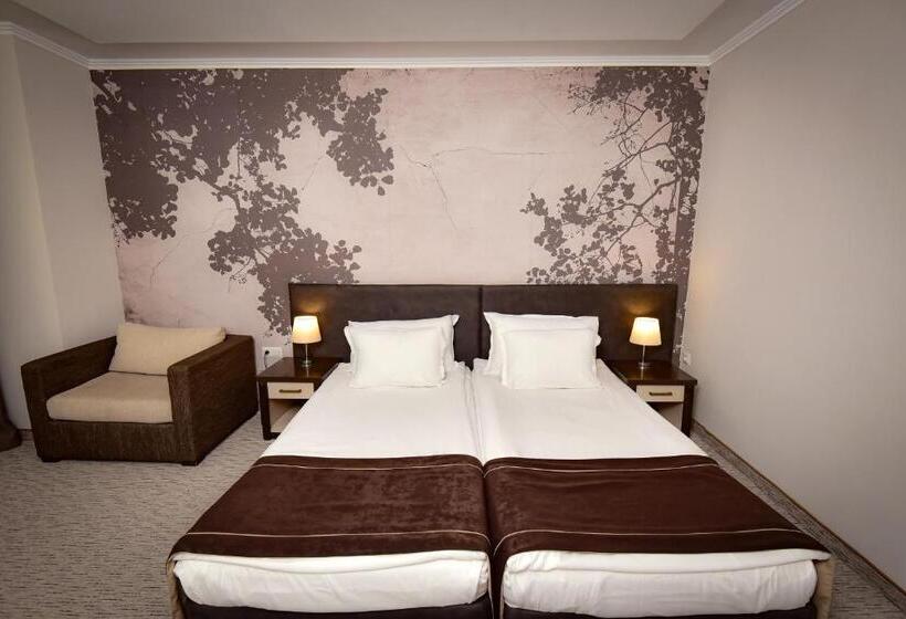 اتاق استاندارد, Rhodopi Home Hotel Chepelare   Half Board & Wellness