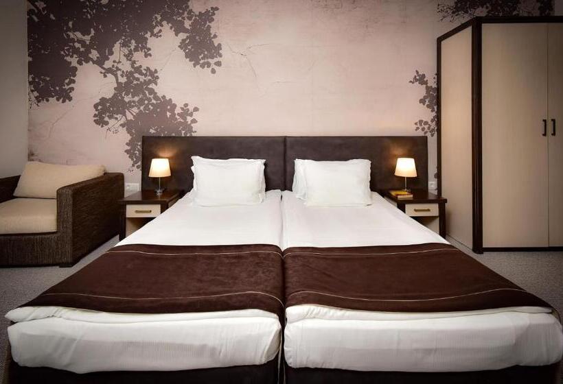 اتاق استاندارد, Rhodopi Home Hotel Chepelare   Half Board & Wellness