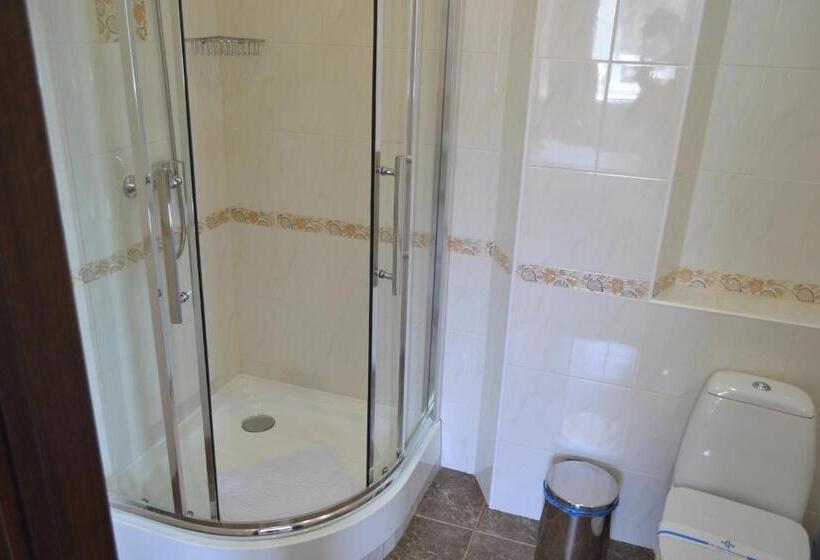 اتاق استاندارد, три сімки