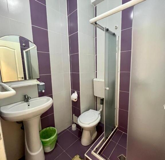 آپارتمان 1 خوابه همکف, Vila Bordei Verde