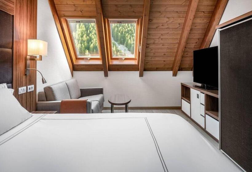 اتاق لوکس با چشم‌انداز, Ac Baqueira Ski Resort, Autograph Collection